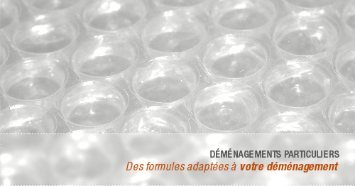 Déménagements particuliers : Des formules adaptées à votre déménagement